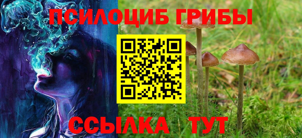 купить закладку  Вход с VPN  Топки  Галлюциногенные грибы мухоморы 